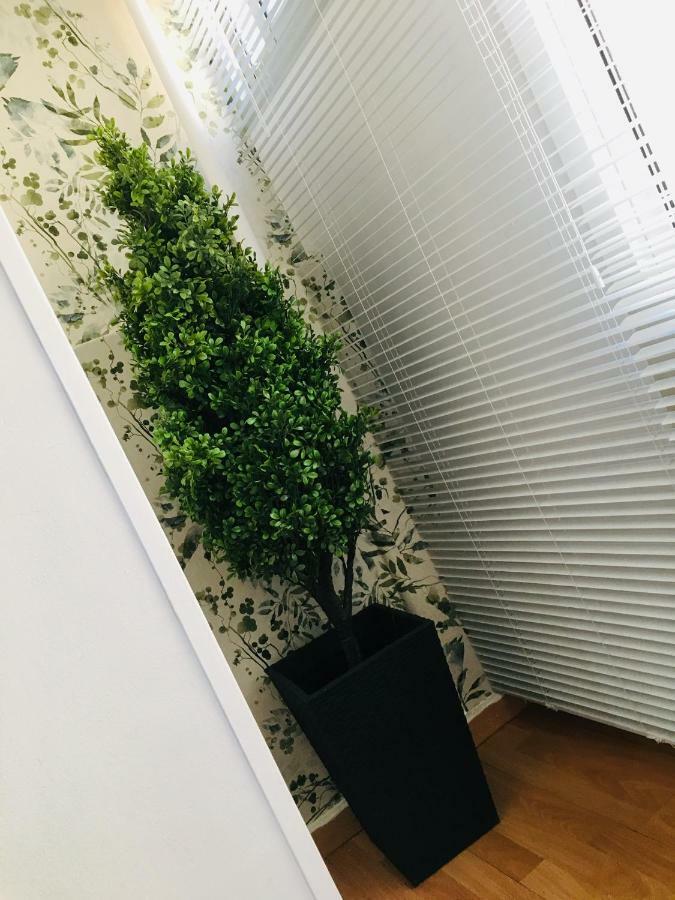 萨拉戈萨Apartamento Good Vibes公寓 外观 照片